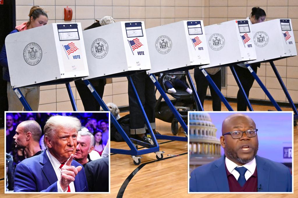 MSNBC contributor Jason Johnson slams liberal conspiracy theories about voter fraud: 'There's no evidence any of it is true'